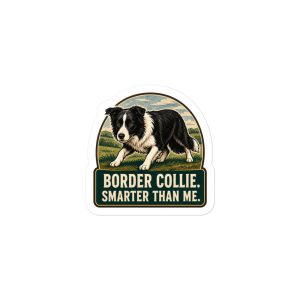 Border Collie Vinyl Sticker: Border Collie. Smarter Than Me.